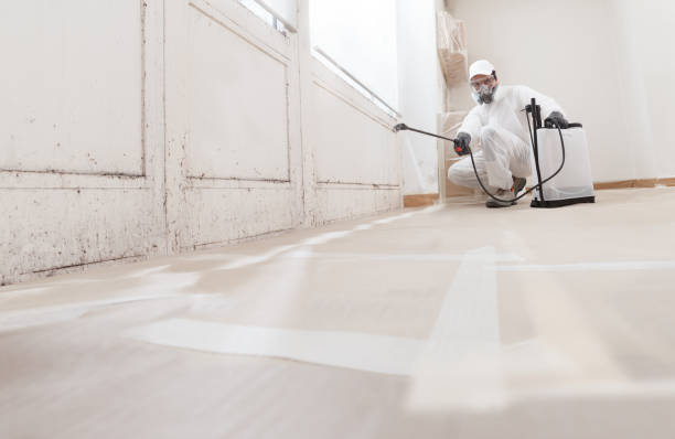 24/7 Emergency Mold Cleanup experts in Alpharetta, GA