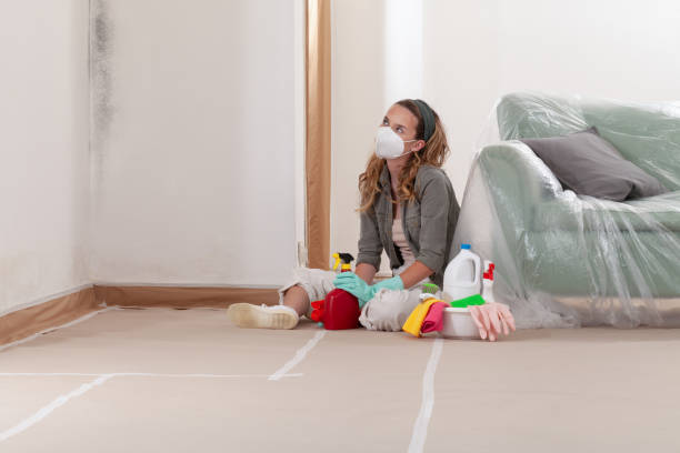 Reliable Mold Cleanup contractor in Alpharetta, GA by Cheap Mold Removal
